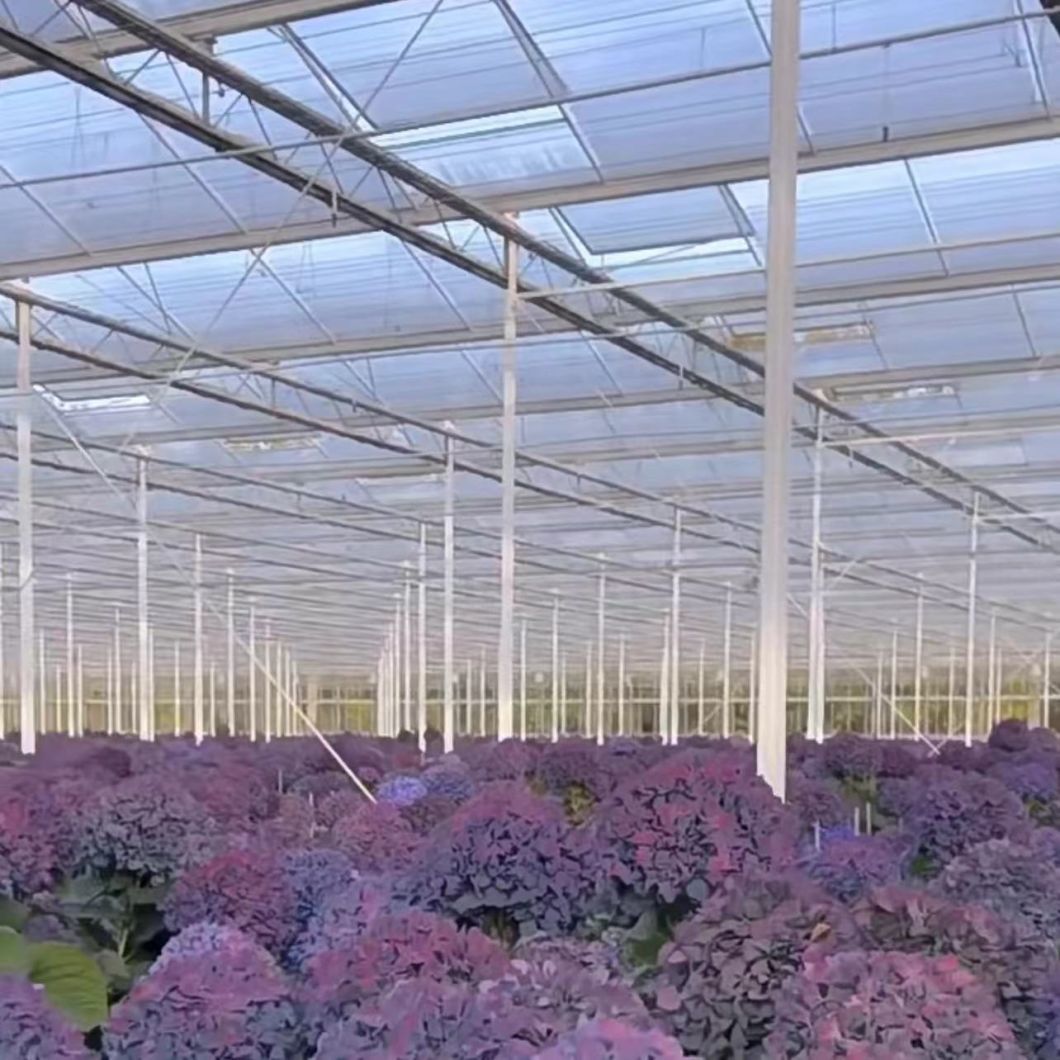 Blossom Haven with Glass Greenhouse