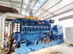 3 Cylinder Quiet Generator Dual Fuel Genset Three Phase 60HZ