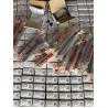 Buy cheap ORIGINAL REXROTH Linear Bearings ,Slide Blocks R161912500 from wholesalers
