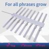 Buy cheap Durable Horticulture Grow Lights / Hanging Led Grow Lights For Succulents from wholesalers