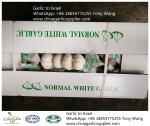 Garlic to Israel with 10kg carton box.Supermarket package.