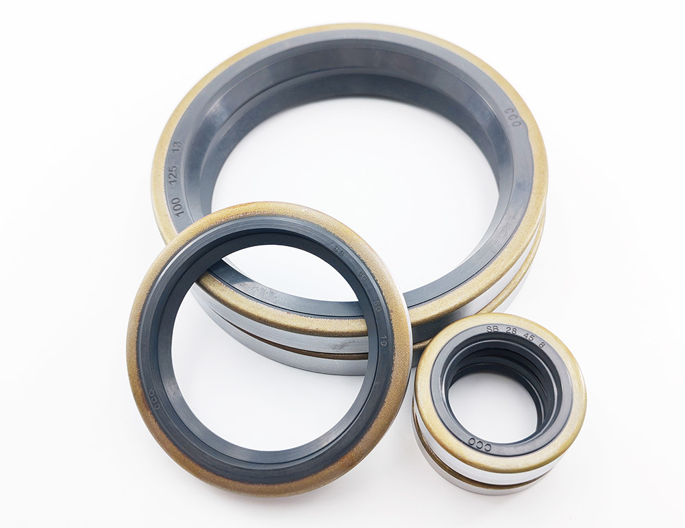 Mechanical NBR Oil Seals High Pressure Pump Sb Oil Seal Lip Rotary Sealer