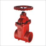 2 3 inch PN16 cast ductile iron Grooved butterfly valves