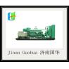 Buy cheap CE Standard Shengdong 12V190 Series 700kw Biogas Gas Generator for Optimal Efficiency from wholesalers