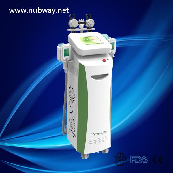 High performance best quality 5 handles fat freezing cryolipolysis slimming
