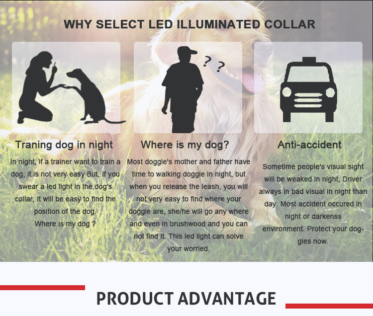 Led Flashing Strong Large Long Nylon Dog Leads , Glow In The Dark Dog Leash