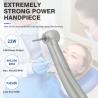 Buy cheap 4 holes Air Turbine Dental Fast Handpiece High Speed Dental Handpiece from wholesalers