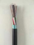 4 6 8 12 24 36 48 Core Aerial Duct Armored GYTA Fiber Optic Cable Outdoor