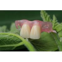 Buy cheap Flexible Invisible Denture product