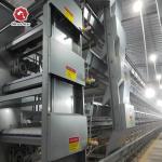 Modern Automatic Broiler Chicken Farming Equipment H Type Poultry Broiler Cage