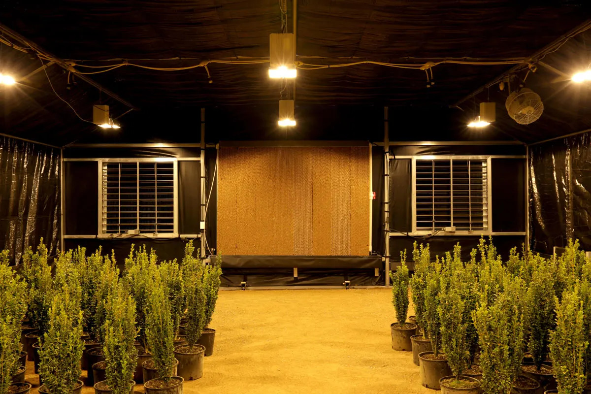 Nursery Custom 100% Blackout Light Deprivation Agricultural Mushroom Greenhouse For Sale