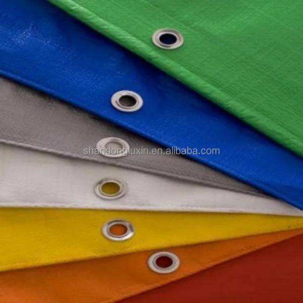 Waterproof and Durable PE Tarpaulin for Greenhouse 50-300gsm Weight 2m-100m