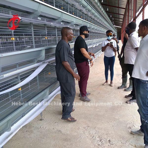 Buy cheap A H Type Adult Commercial Chicken Battery Cages For Laying Hens Star from wholesalers