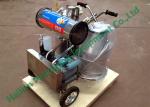 Stainless Steel Cow Milk Sucking Machine 25Litre Double Milk Cans