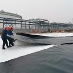 1mm 1.5mm HDPE Geomembrane Liner for Shrimp Pond Aquafarm After-sale Service