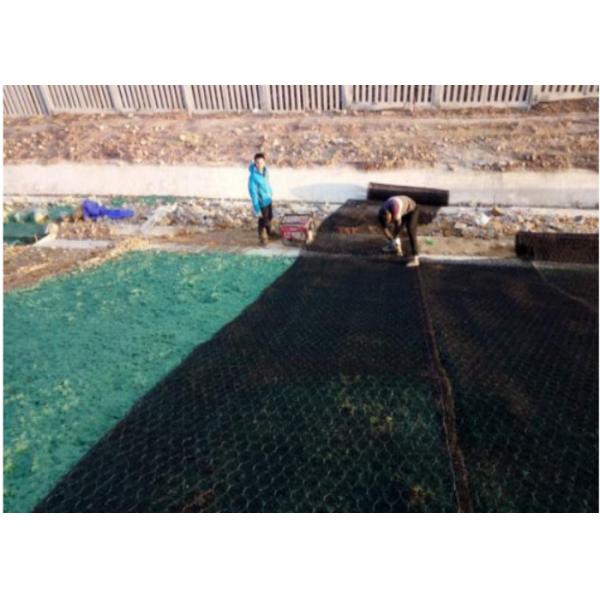 2.0mm Reinforced mike pad