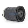 Buy cheap Plastic Piston Air Suspension System W01-358-2119 Firestone Truck Air Spring 1T14C-1 from wholesalers