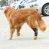 Buy cheap Joint Protection SBR Dog Knee Pad for Surgery Recovery from wholesalers