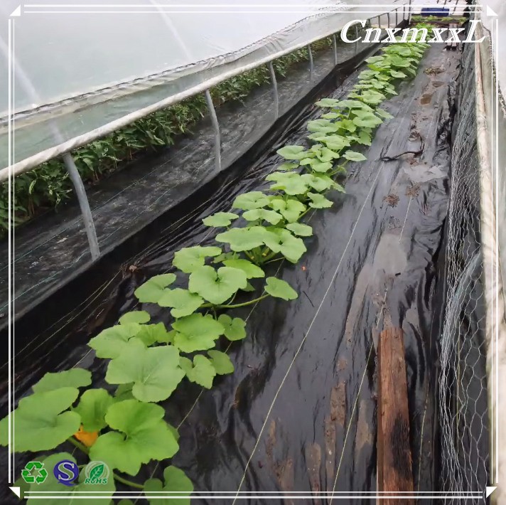 0.5m Polypropylene 96g Plastic Weed Mat Rolled Weed Control Fabric Mat