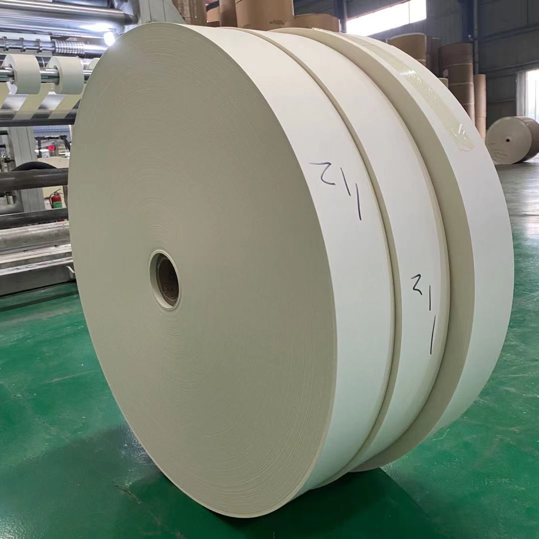Food Grade Paper Cup Bottom Roll Single PE Coated 100% Virgin Wood Pulp