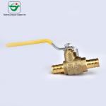 Standard Port Medium Pressure 1"X1'' PEX Ball Valves