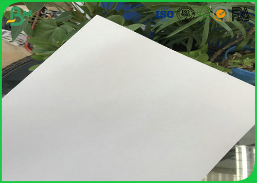 absorbent paper
