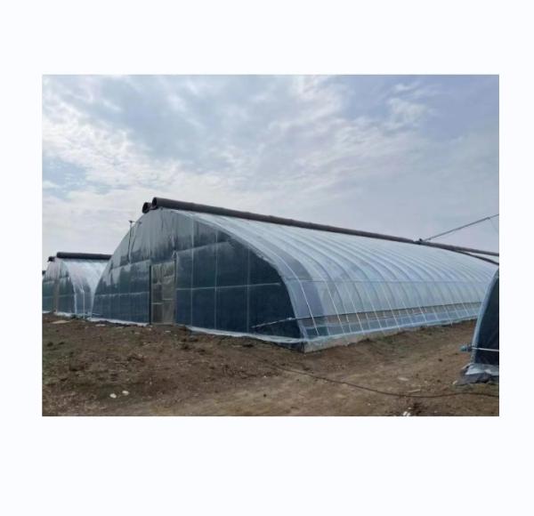 Buy cheap PE Single Layer Solar Tunnel Agricultural Greenhouse 4-6M Height from wholesalers