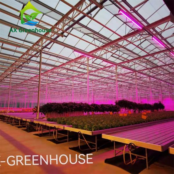 Buy cheap Intelligent Hydroponic Roses Greenhouse from wholesalers