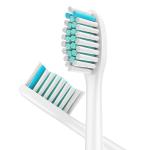 W Shaped Copper Bristle Battery Toothbrush Heads OEM ODM HX614-X