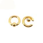 BODY PUNK Piercing Earring Ring Ear Stretcher Expander Weights BCR Gold Captive