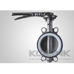 PTFE Seated Butterfly Valve Concentric 2-48 Inch Class150