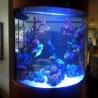 Buy cheap Custom 100% Virgin Mitsubishi MMA Cast Clear Aquarium Acrylic Sheet from wholesalers