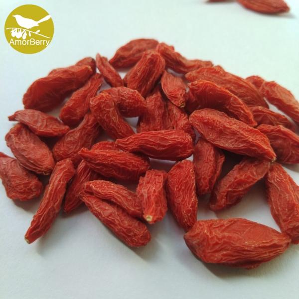 Gouqizi Health food dried fruit /organic goji berries China supplier price