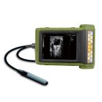 Ultrasonic Medical Hospital Equipments Digital B Mode Veterinary RKU10