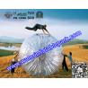 Buy cheap Sport Body Zorbing Bubble Ball For Playing , Inflatable Grass Zorb Ball from wholesalers