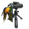 Buy cheap Mobile Phone 12X42 Outdoor Monocular Telescope With Bak4 Prism And FMC Lens from wholesalers