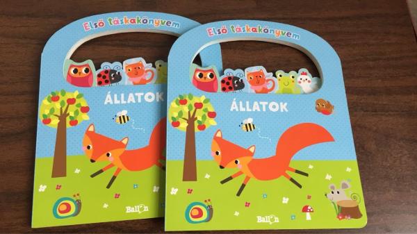 Buy cheap Magic Family Picture Board Books Toddlers Custom Coloring Board Books For 2 Year Olds from wholesalers