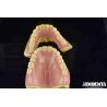 Buy cheap Unleash Potential Of Your Dental Practice Acrylic Denture Finish With Diverse And Lightweight Property from wholesalers