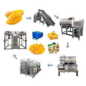 Mango Processing Line with Retains Fresh Fruit Flavor Low-Temperature Vacuum