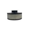 Buy cheap Diesel Generator Set Air Filter B085009 AH1185 3910559 PA2817 00811709 from wholesalers