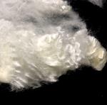 5D*102MM Anti Peeling Bosilun Fiber Soft Hand Feeling With Superb Skin Affinity