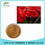 High Quality Crown Of Thorns Extract Powder10:1 20:1