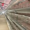 Buy cheap Hot Dip Galvanized Poultry Cage System White Layer Farm Bird Housing Adela from wholesalers