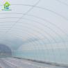 Buy cheap 150 Micro Strawberry Greenhouse Cover Materials 88% Transmittance PE Plastic Film from wholesalers