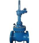 Customized Metal Seated Two-Way Sealing Direct-Acting Drain Valve for General