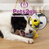 Buy cheap Rubber Material 128X51mm Food Leakage Pet Chew Toys from wholesalers