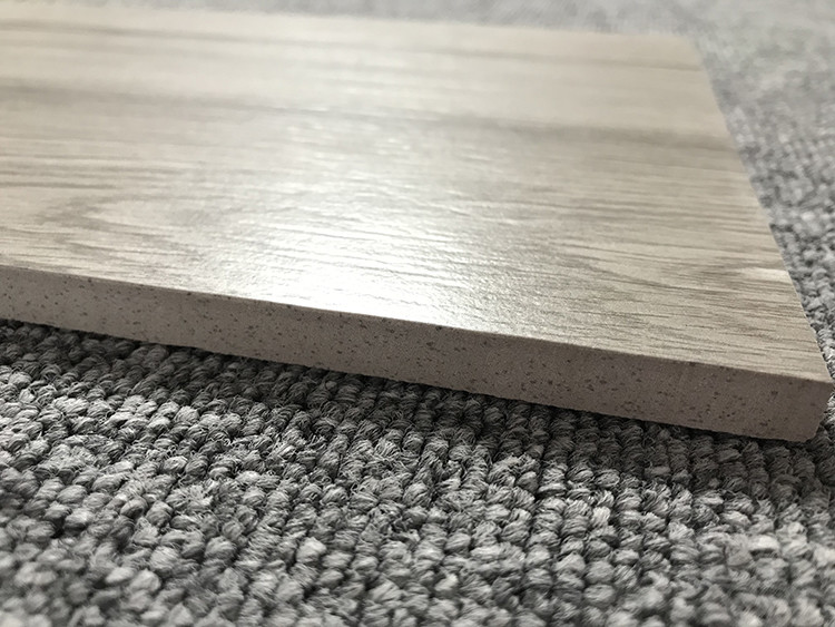 Modern Porcelain Tile Flooring Wood Look Full Body Garden