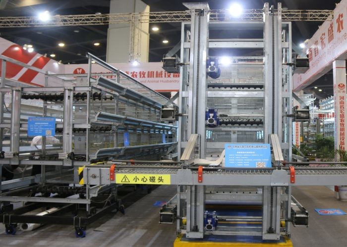 Professional Automatic Egg Collection System Save Energy Consumption For Layer House