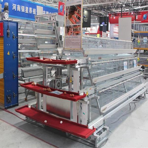 Buy cheap 10000 Layers Battery Poultry Cage Hens Farm Used from wholesalers