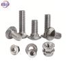 Buy cheap Extra Long Large Big Head SS 304 316 Stainless Steel DIN603 Coach Carriage Bolts and Nuts from wholesalers